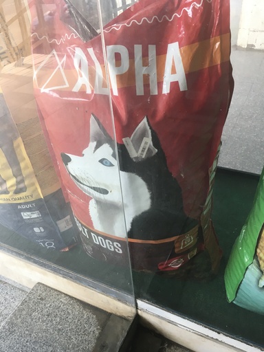 alpha adult dog 20kg